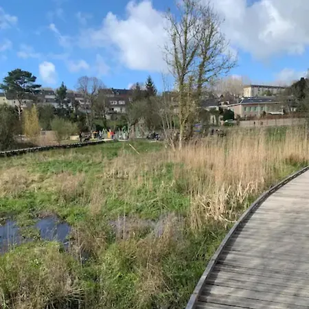 Spacieux Et Elegant Avec Jardin Lejlighed *