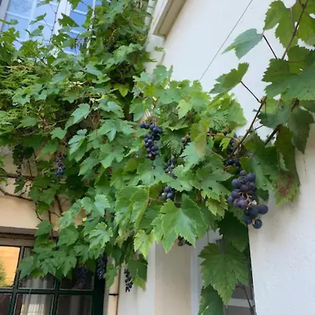 Spacieux Et Elegant Avec Jardin Montivilliers